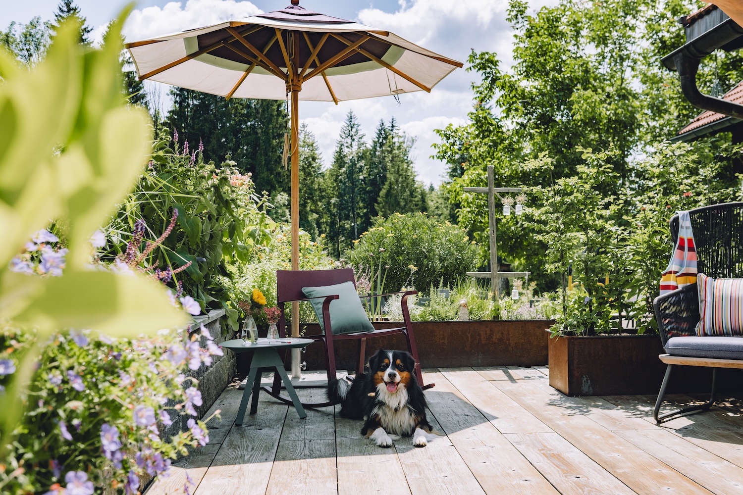 Terrasse mit Sonnenschirm und Bernersennenhund